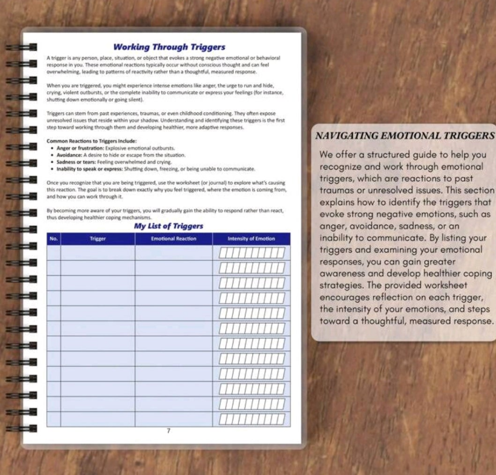π The Shadow Work Journal